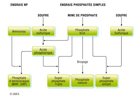  Phosphate De Derivation Pour L’Industrie Agricole Et Les Engrais: Un Trésor Minéral Indispensable !