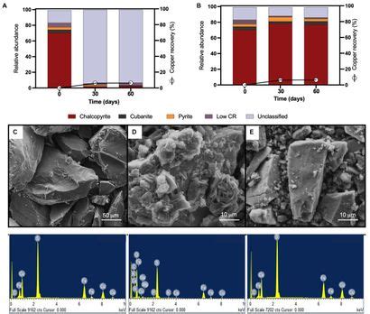  Bornite Exploration and Extraction: Unveiling a Treasure Trove for Copper Production!