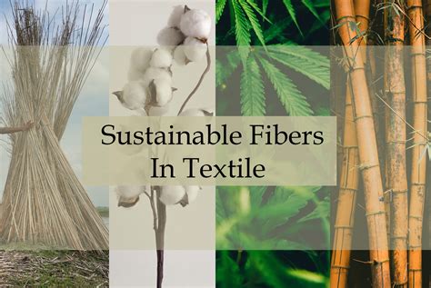  Fibres de Flaxe: Un Trésor Naturel pour l'Industrie Textile Durable et Performante !