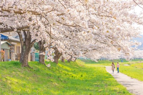 さいたま市桜区天気 今日の空はなぜかピンク色に染まっている