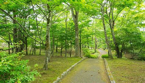 サンダンスリゾート山中湖：自然と文化の融合を探る