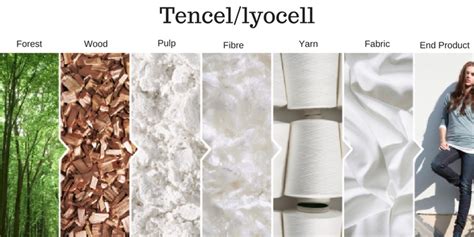  TENCEL™ : Une Fibre de Cellulose Issue du Bois Dur pour le Textile Durable et Respirant !