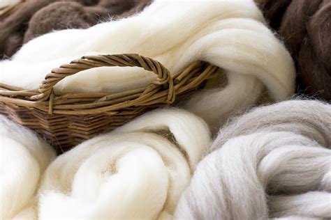  Wool: Une fibre naturelle aux multiples avantages pour le textile haute performance!